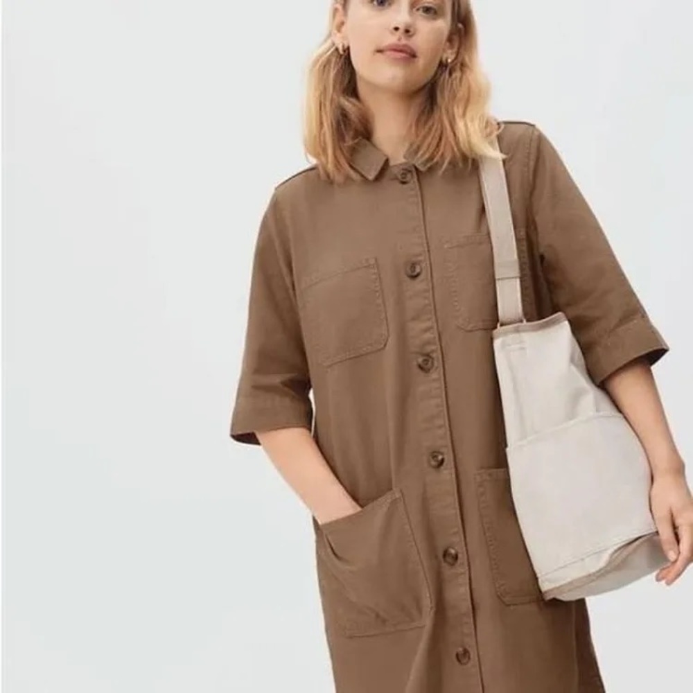 Everlane chore mini dress in brown